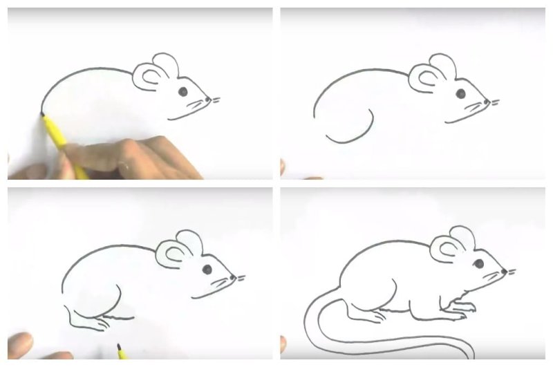 Мышь рисунок