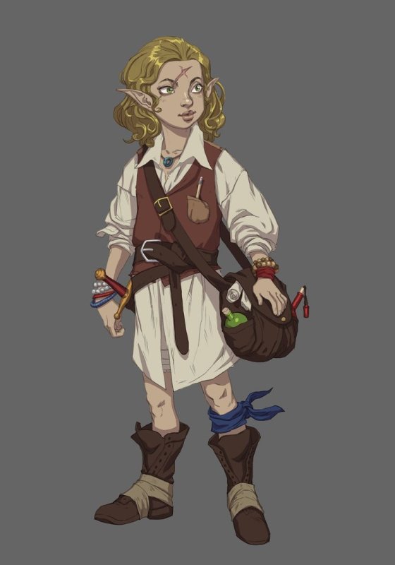 DND полурослик бард