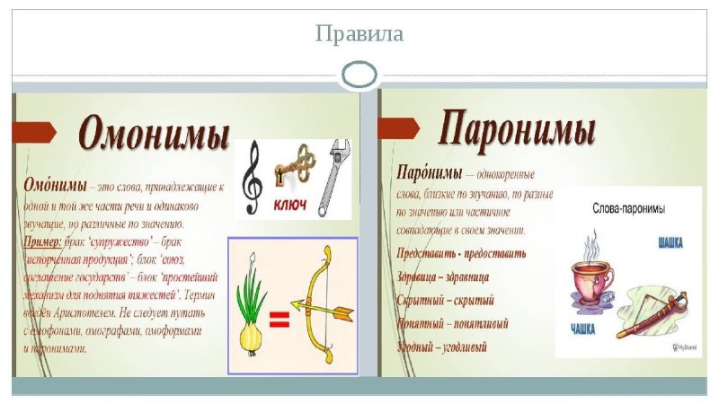 Омонимы картинки