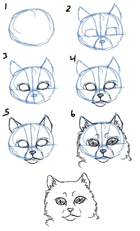 Кошка рисунок карандашом