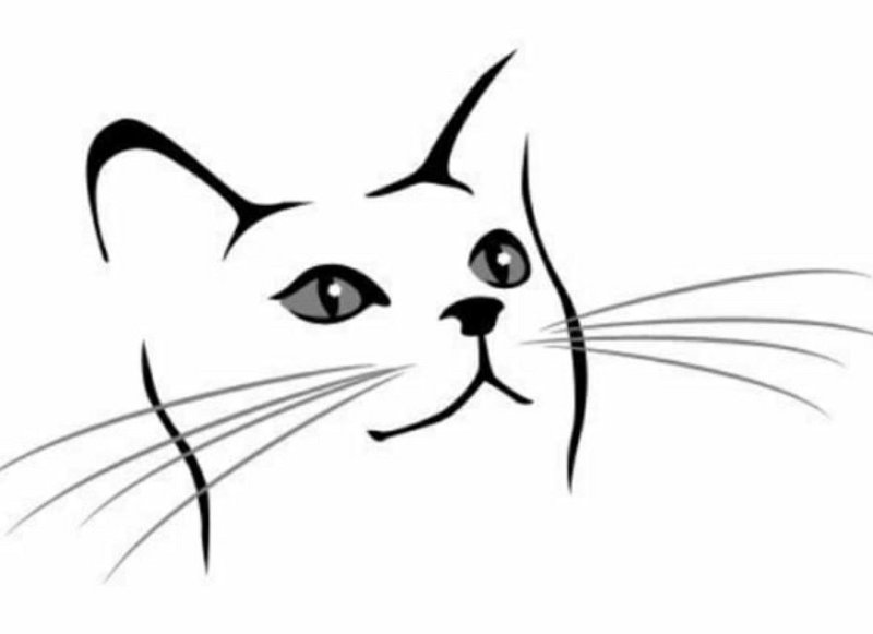 Кошечка контур