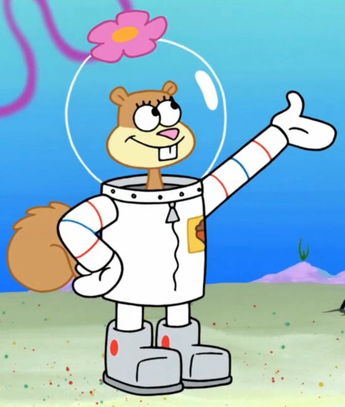 Сэнди Sandy Cheeks