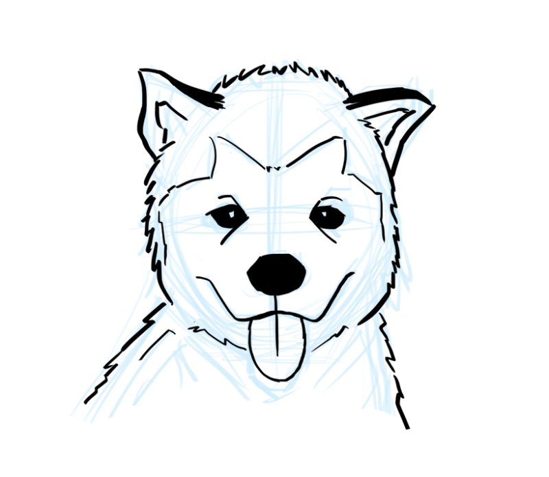 рисунки карандашом для срисовки хаски