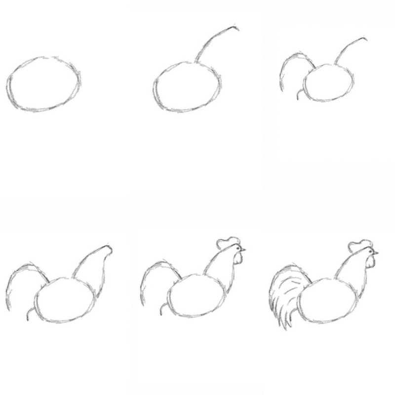 Рисование петуха поэтапно