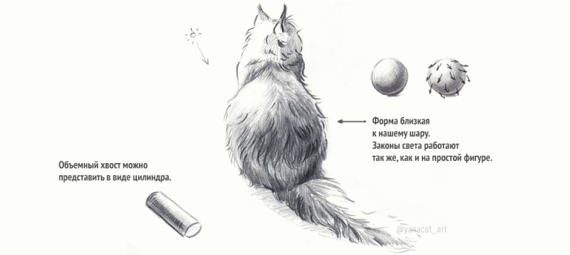 Как рисовать тени на животных