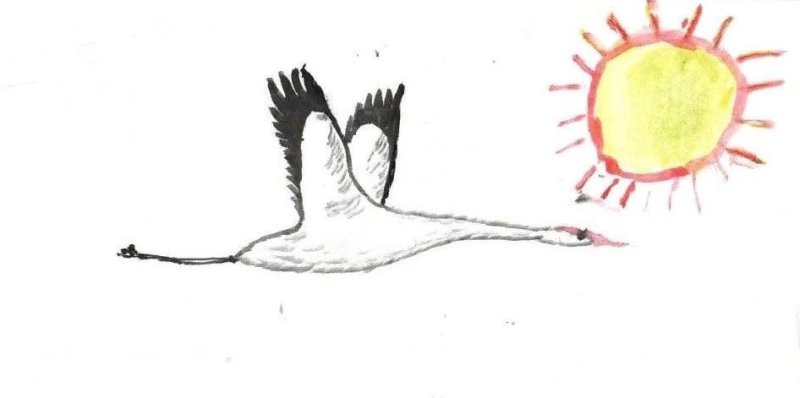 Журавль рисунок
