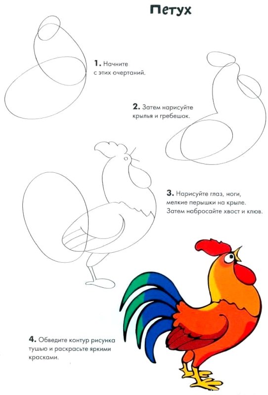 Рисование петушок
