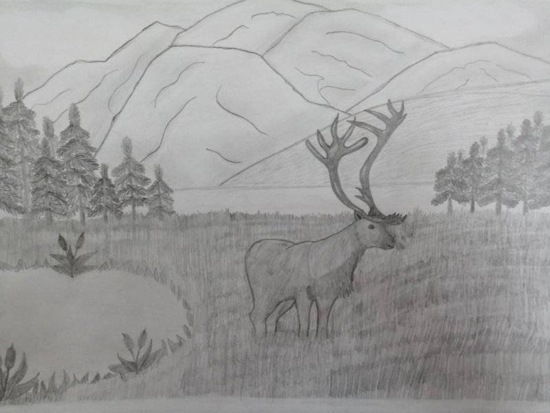 Рисунок на тему природа родного края