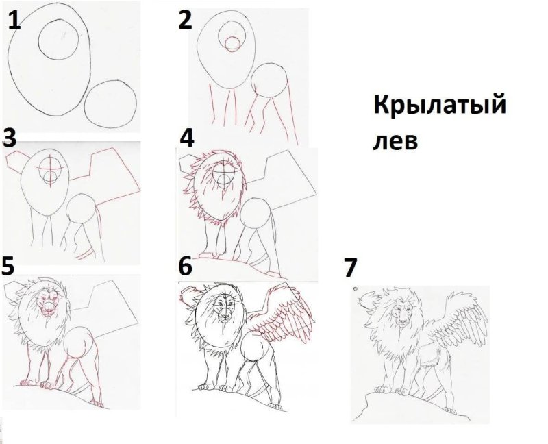 Пошаговый рисунок Льва