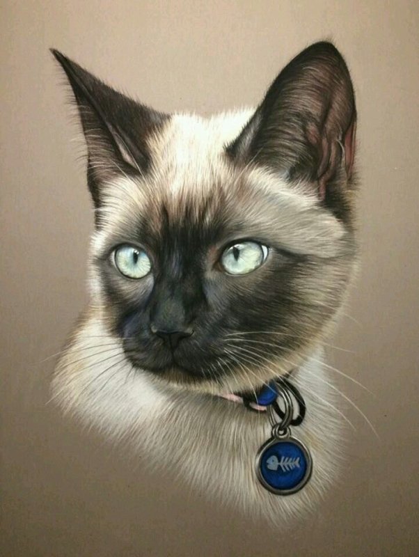 Кошки арты