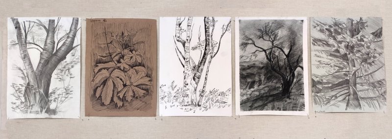 Пленэрные этюды маслом Академия художеств