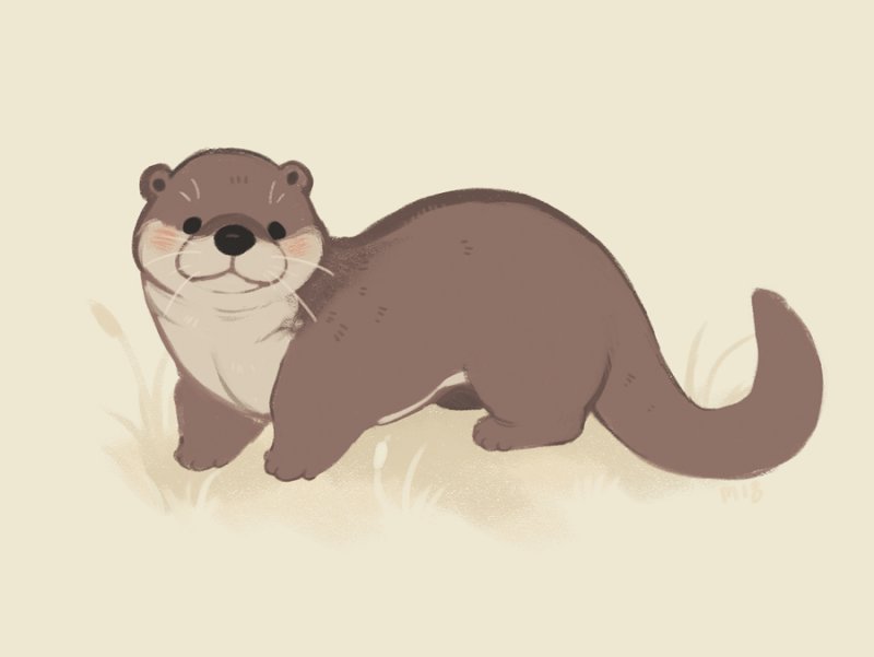 выдра рисунок