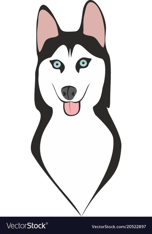 рисунки для срисовки хаски лёгкие