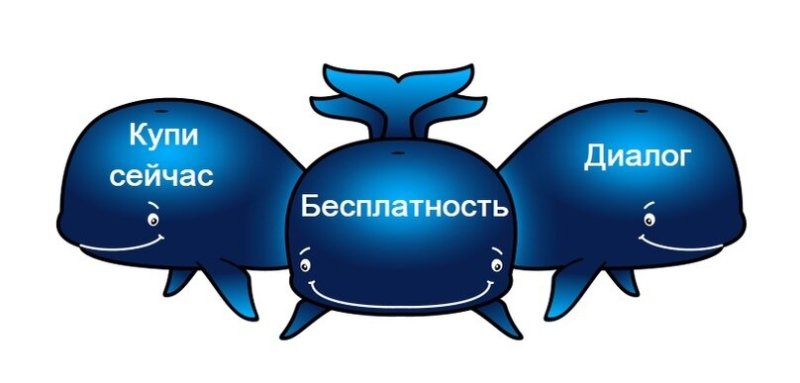 РТИ кита