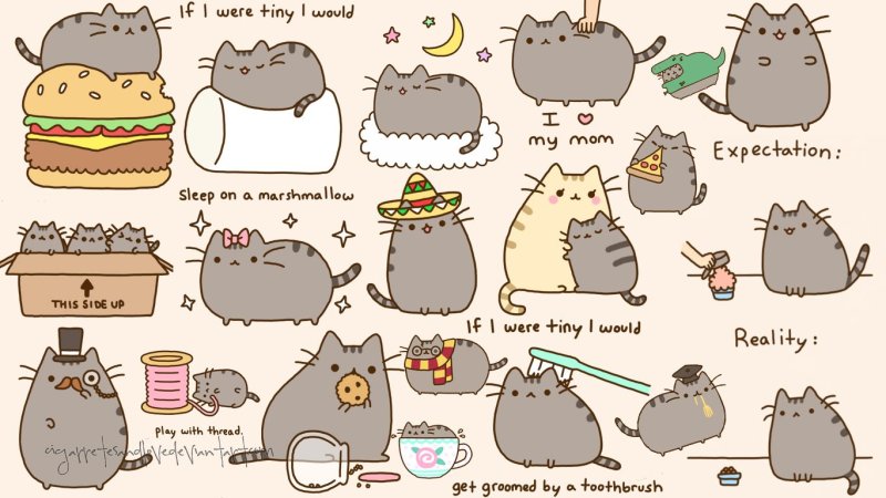 Котик рисунок