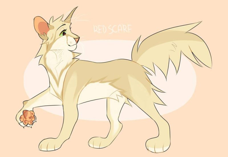 Песчаная буря коты Воители арт