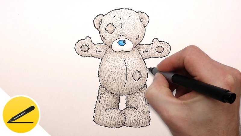 Рисунок медвежонка легкий