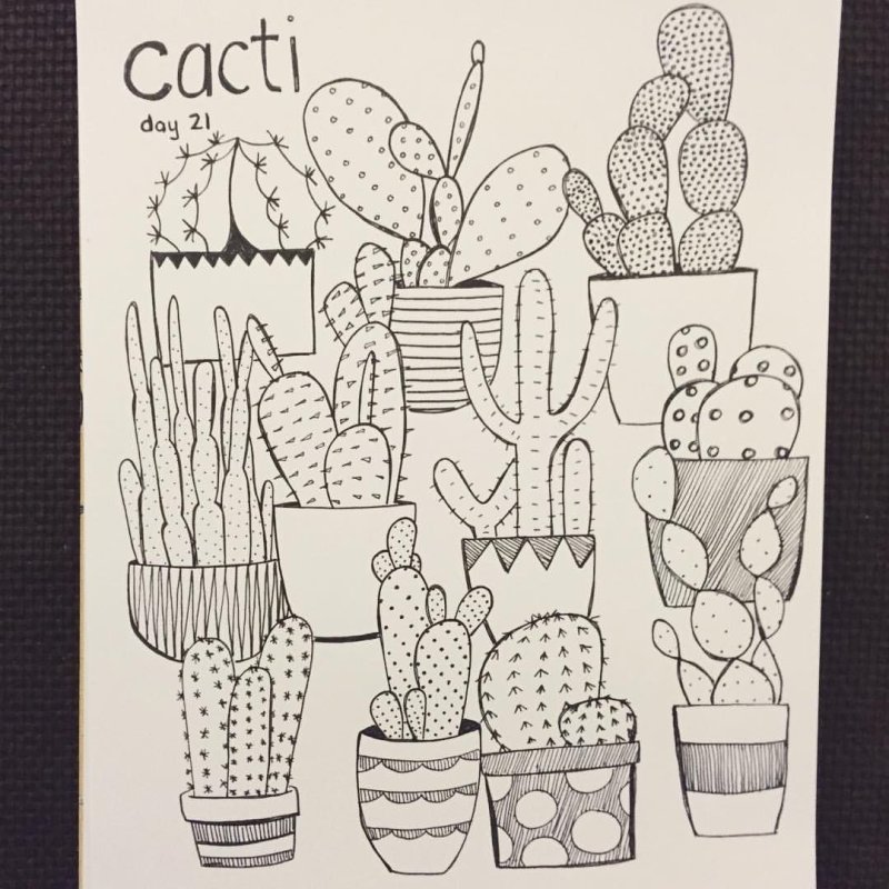Кактусы рисунки для скетчбука