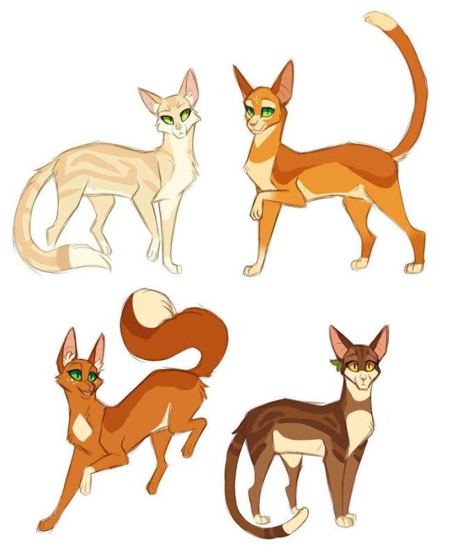 Коты Воители songsteps семьи