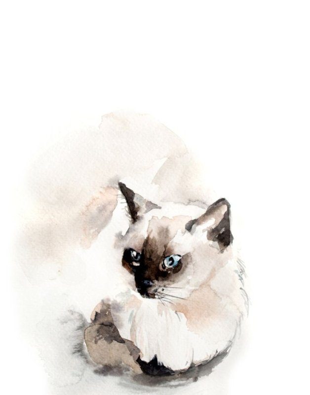 Котенок акварелью