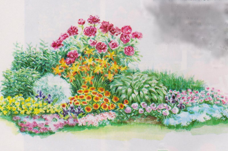 Клумба с цветами рисунок
