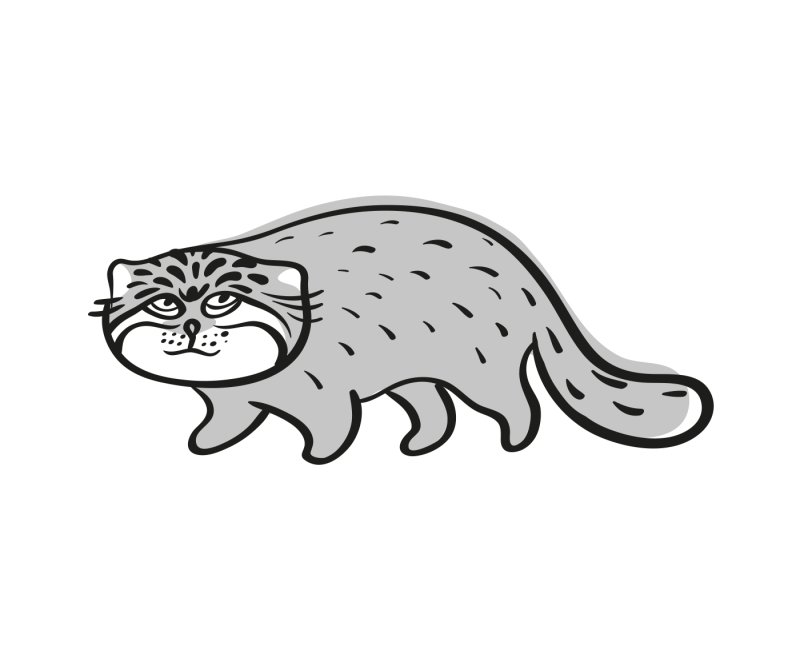 Лесной кот Манул