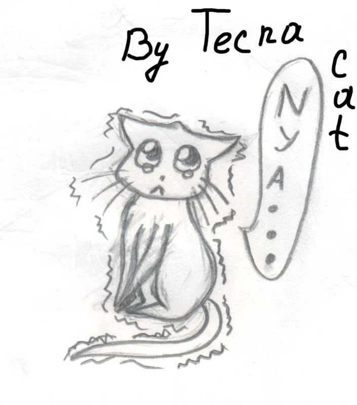 Кот плачет рисунок