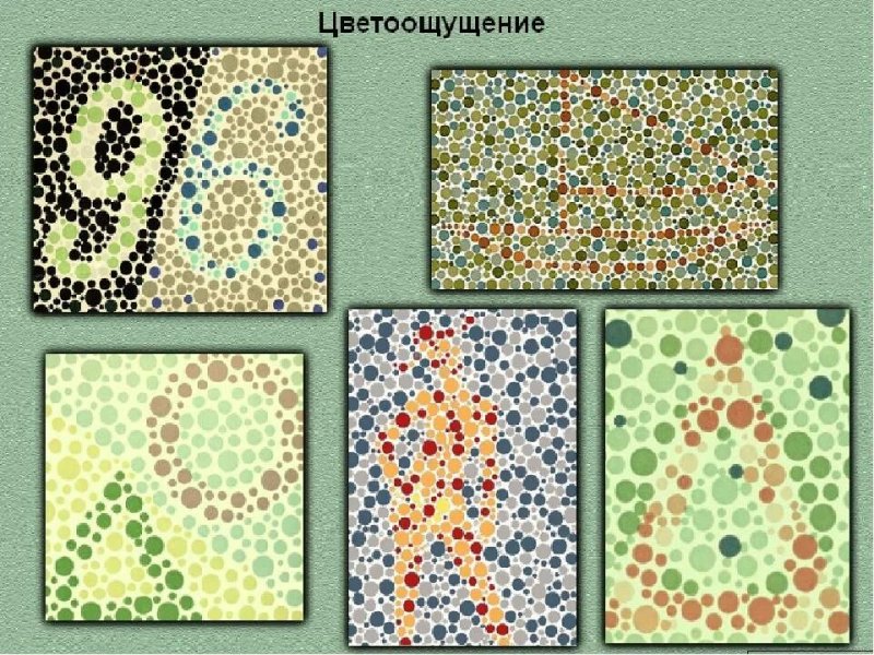 Светоощущение таблица Рабкина