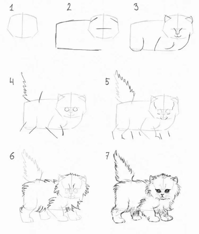 Кошка рисунок поэтапно
