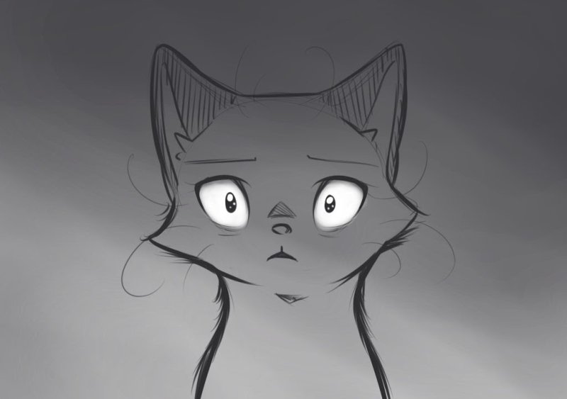 Котик арт