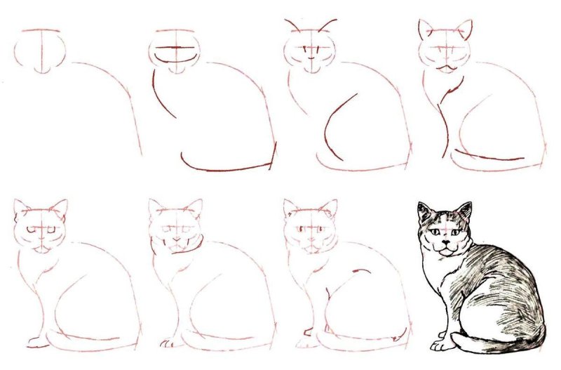 Схема рисования кошки