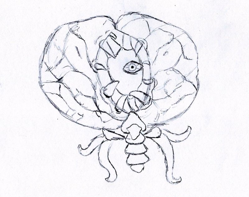 Terraria раскраска