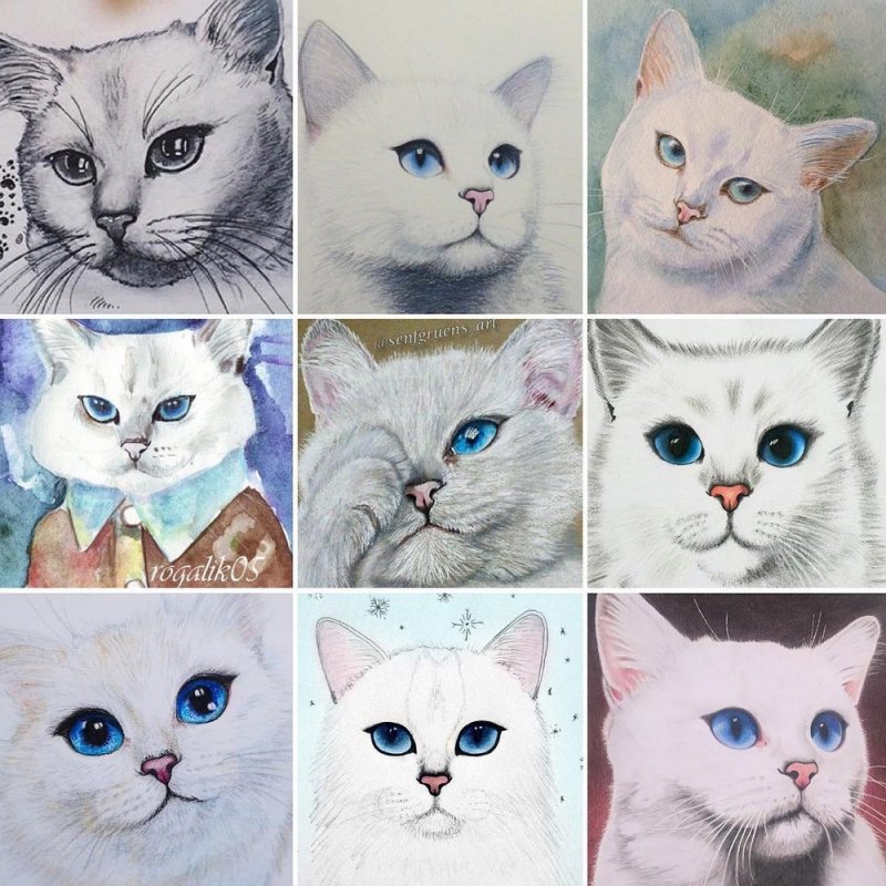 Рисунок кота с голубыми глазами
