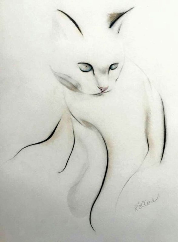 Кошка рисунок карандашом