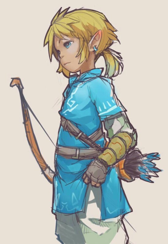 Линк из the Legend of Zelda