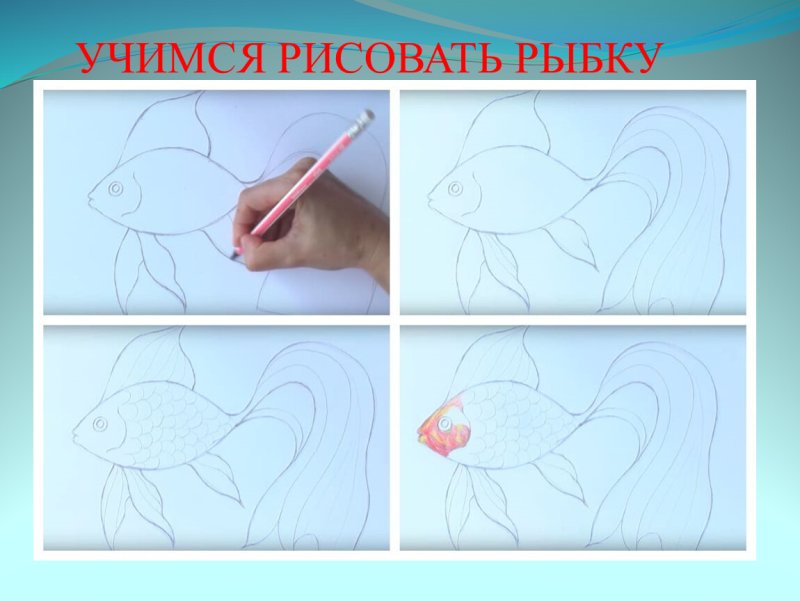 Рыбка рисунок карандашом