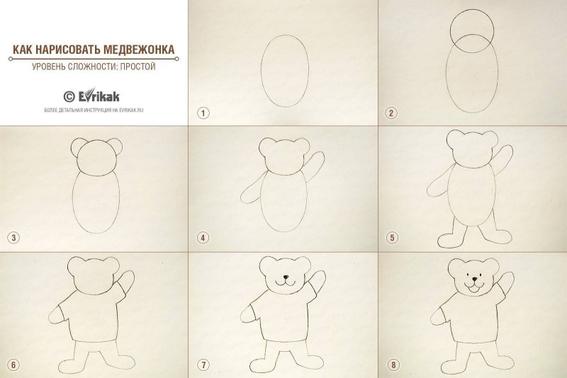 Этапы рисования мишки