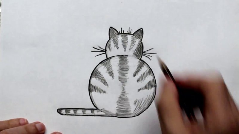 Кот карандашом