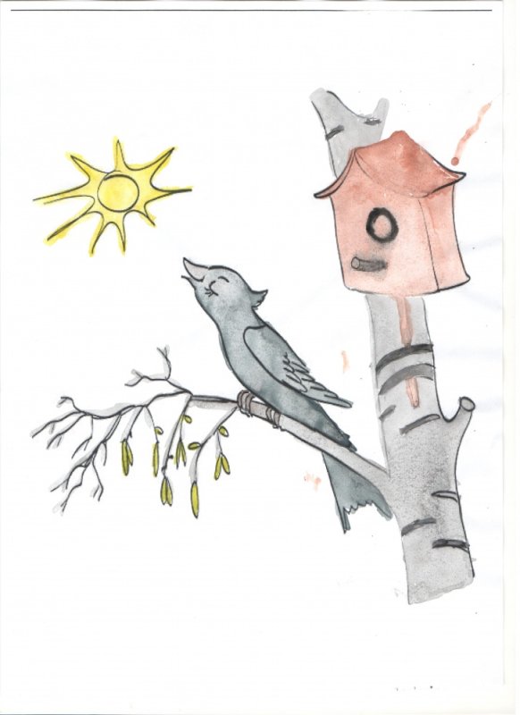 Скворец рисунок