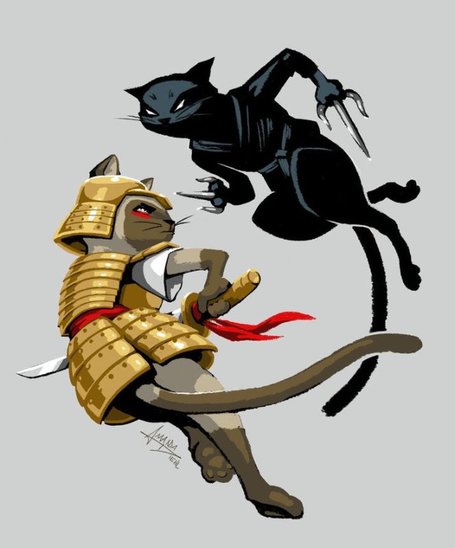 Самурай и кошка