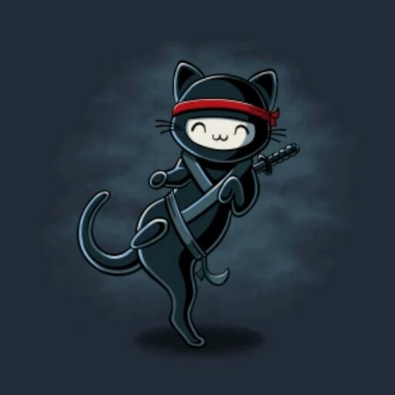 Кошка ниндзя