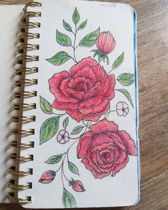 Роза скетчбук