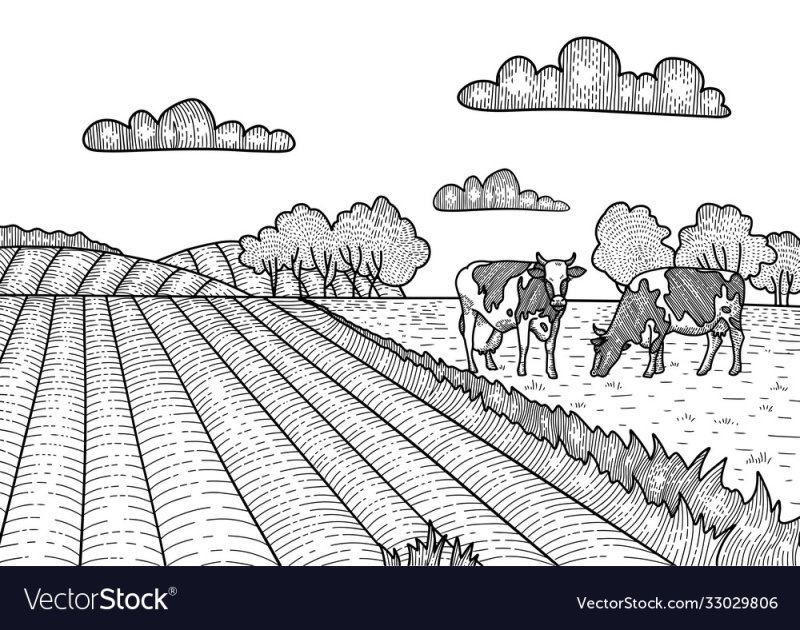 Раскраска сельское хозяйство