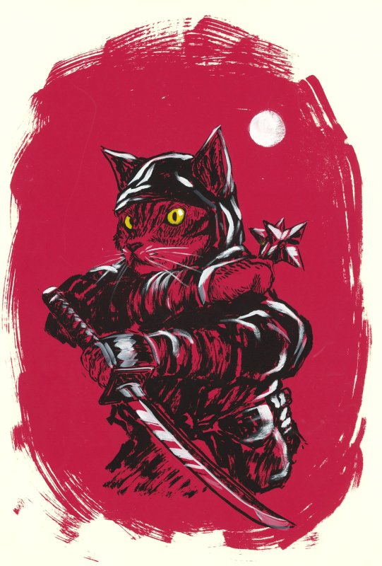 Самураи корё