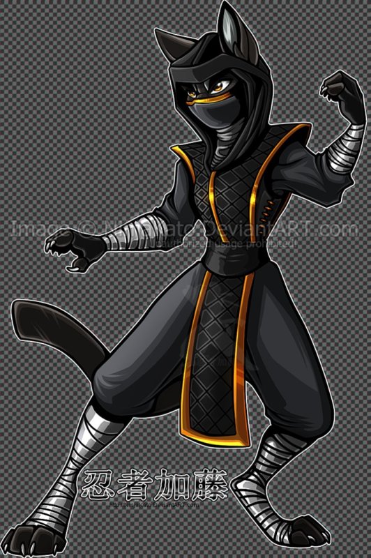 Коты ниндзя