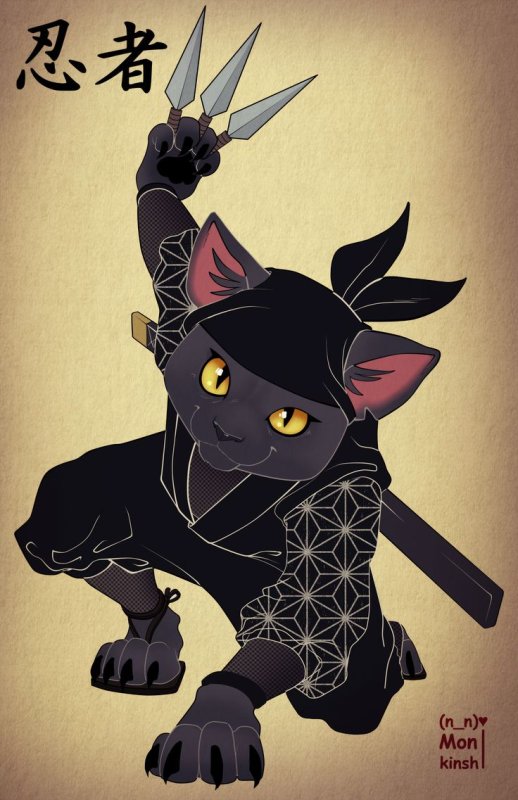 Коты шиноби