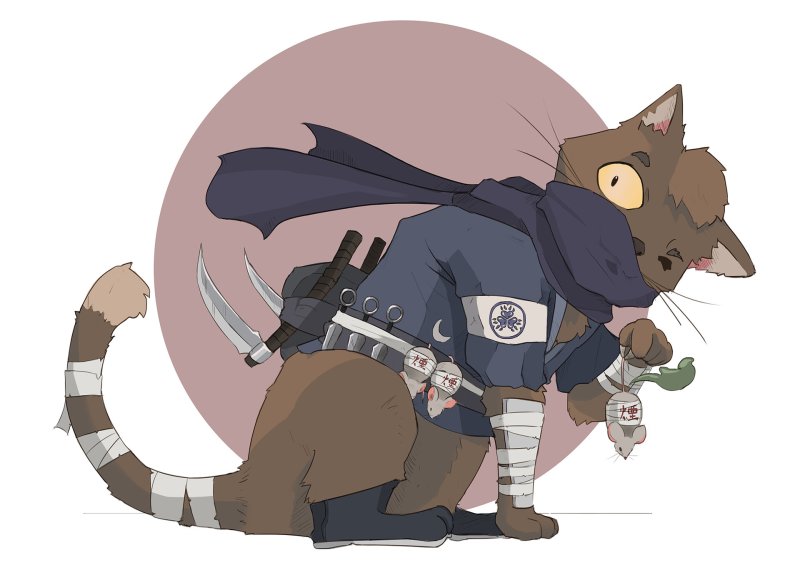 Коты ниндзя Наруто