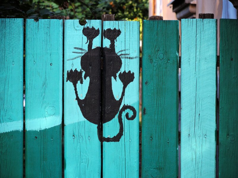 Забор для рисования