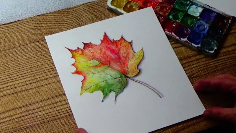 Кленовый лист цветными карандашами