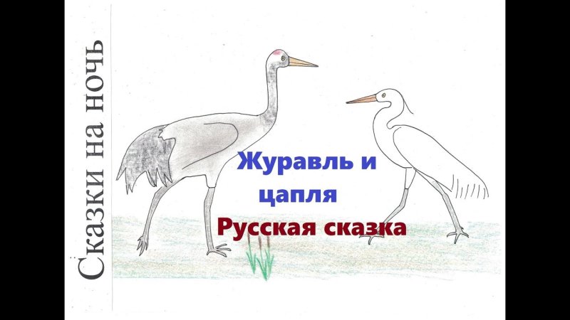 Журавль рисунок для детей